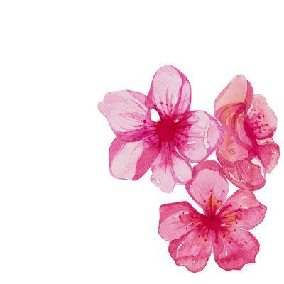 Enchanted Eve Blossom Ensemble